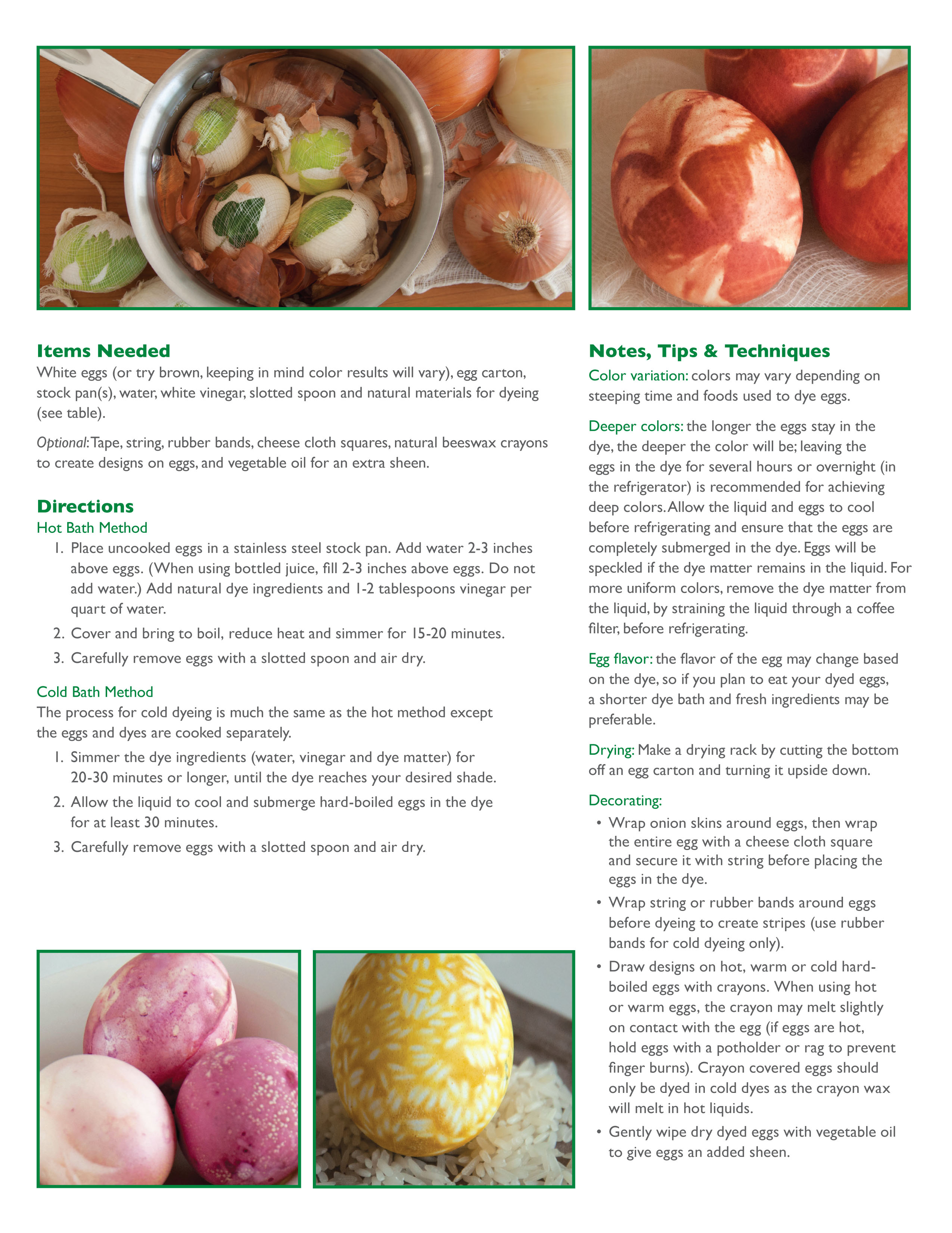 2013_Naturally_Dyed_Eggs_Handout(1)-2