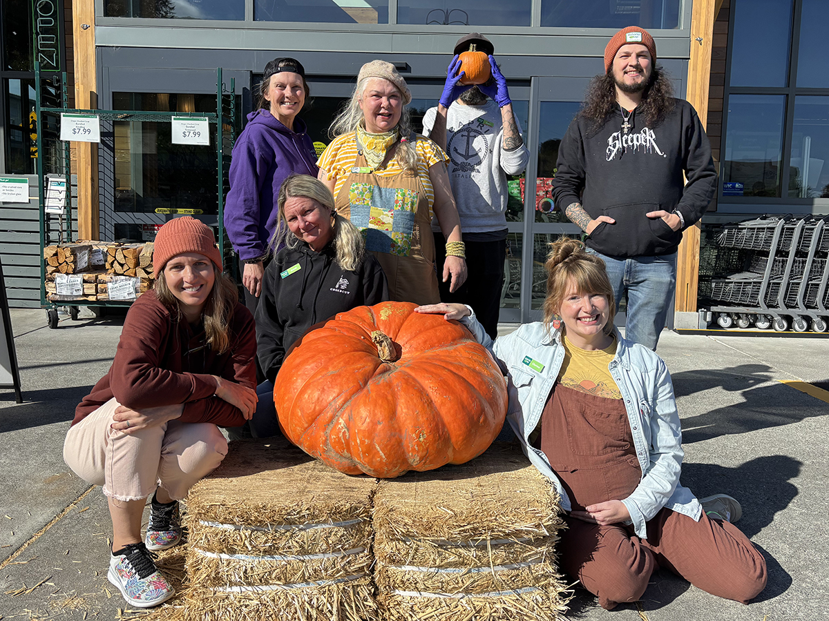Pumpkin Contest 2026