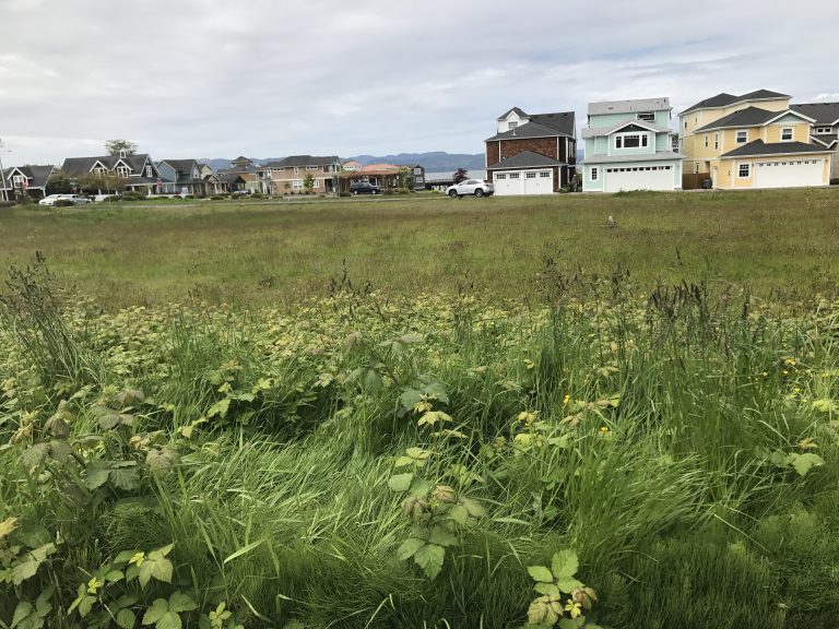 Larger Store Here We Come New Coop Location Selected Astoria Co+op